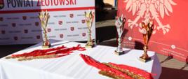Na stole znajdują się puchary i medale przygotowane dla uczestników uroczystości. W tle widoczne są logotypy i nazwa Powiatu Złotowskiego.