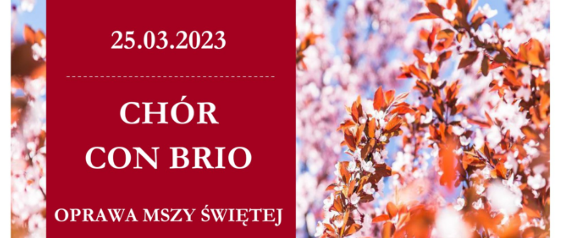 Plakat na białym tle zdjęcie kwitnących kwiatów na drzewach, na zdjęcie czerwony element graficzny z tekstem "25.03.2023 chór Con Brio oprawa mszy świętej, kościół pw. św. Stanisława, św. Doroty i św. Wacława Plac Wolności 3 godzina 18:30". Pod zdjęciem 4 cytaty zapisane czarną czcionką.