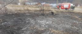 Spalona połać trawy i opona. W tle stoi samochód pożarniczy oraz strażacy.