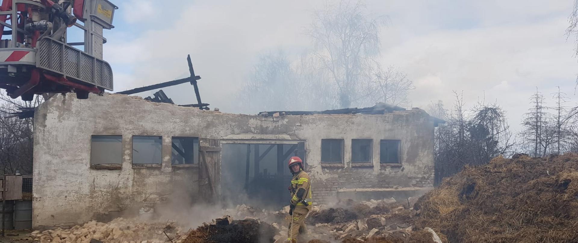 Na zdjęciu widać strażaka na tle spalonego budynku 