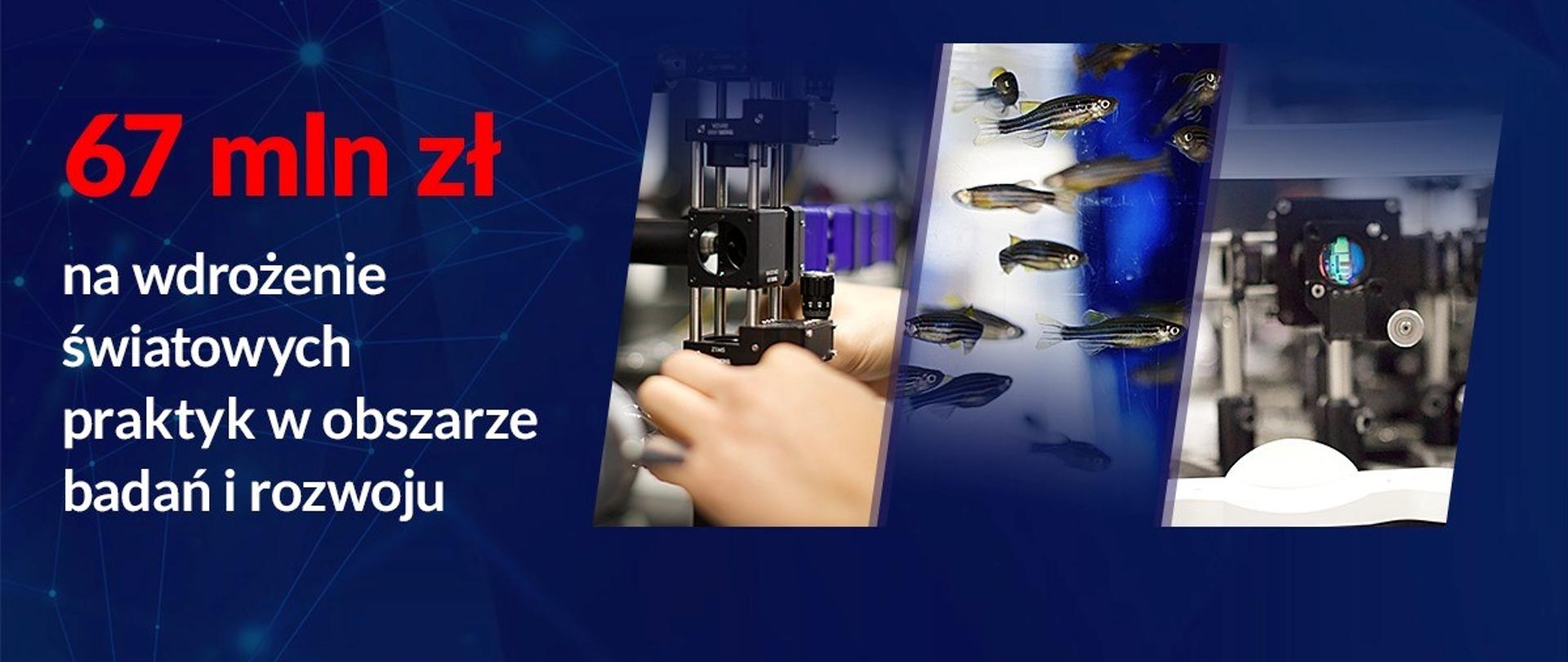 Grafika z rybkami i mikroskopem