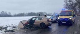 Na oblodzonej, wiejskiej drodze stoją służby ratunkowe: karetka pogotowia z włączonymi niebieskimi światłami, radiowóz policyjny oraz wóz straży pożarnej. Strażacy w umundurowaniu i kaskach rozmawiają obok samochodu osobowego stojącego na poboczu. W tle widać nagie drzewa i zaśnieżone pola.