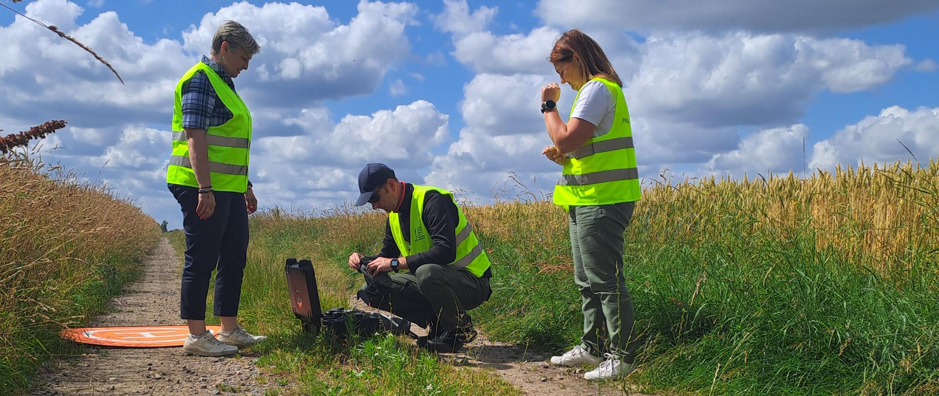 Kontrole plantacji nasiennych