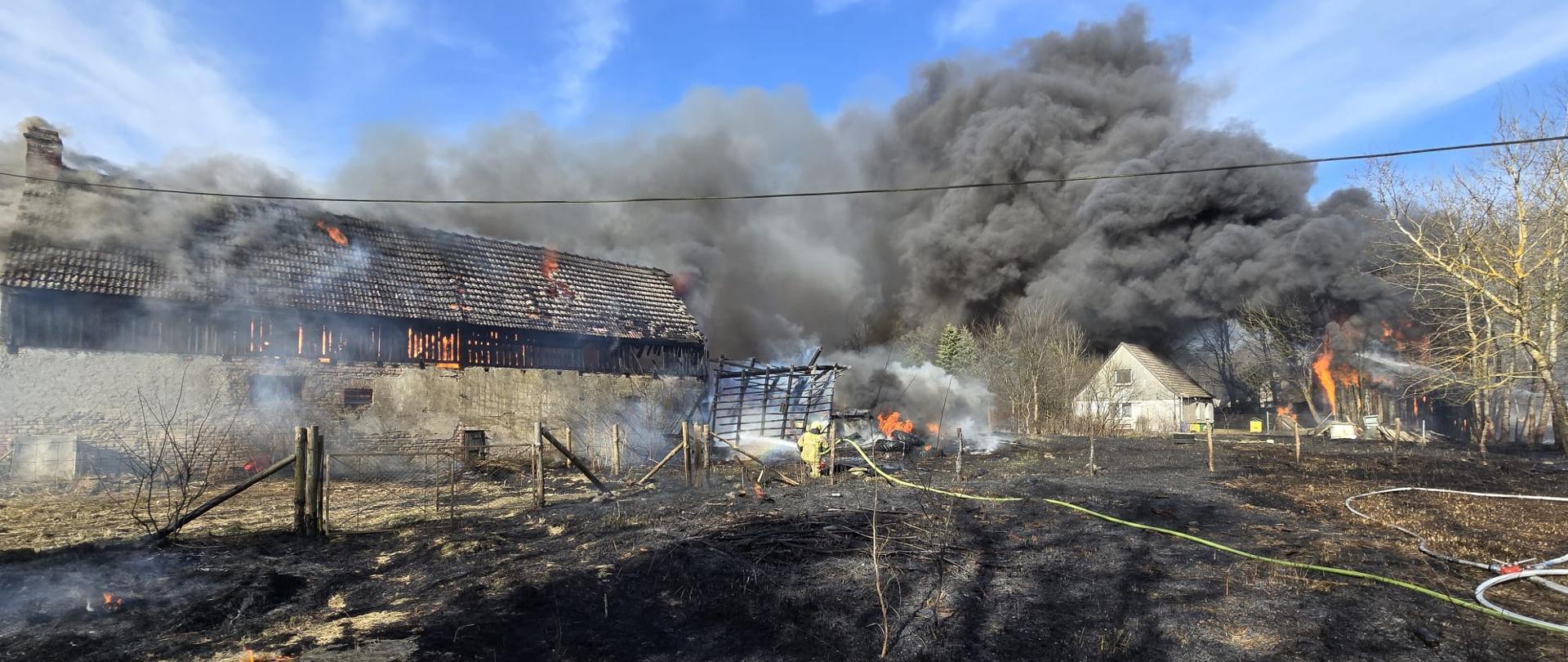 Pożar budynków gospodarczych w Stepnicy