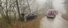 Na łuku drogi widać jak samochód osobowy uderzył w drzewo. Obok pojazdu stoi strażak ubrany w odzież ochronną. Następnie na jednym pasie drogi ustawione są pojazdy służb ratowniczych.