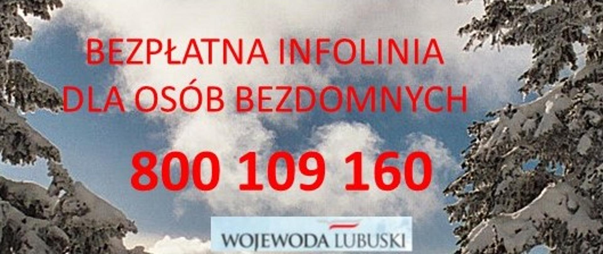 grafika przedstawia zimowe tło (drzewa obsypane śniegiem) oraz napis "bezpłatna infolinia dla osób bezdomnych" i numer telefonu 800 109 160 