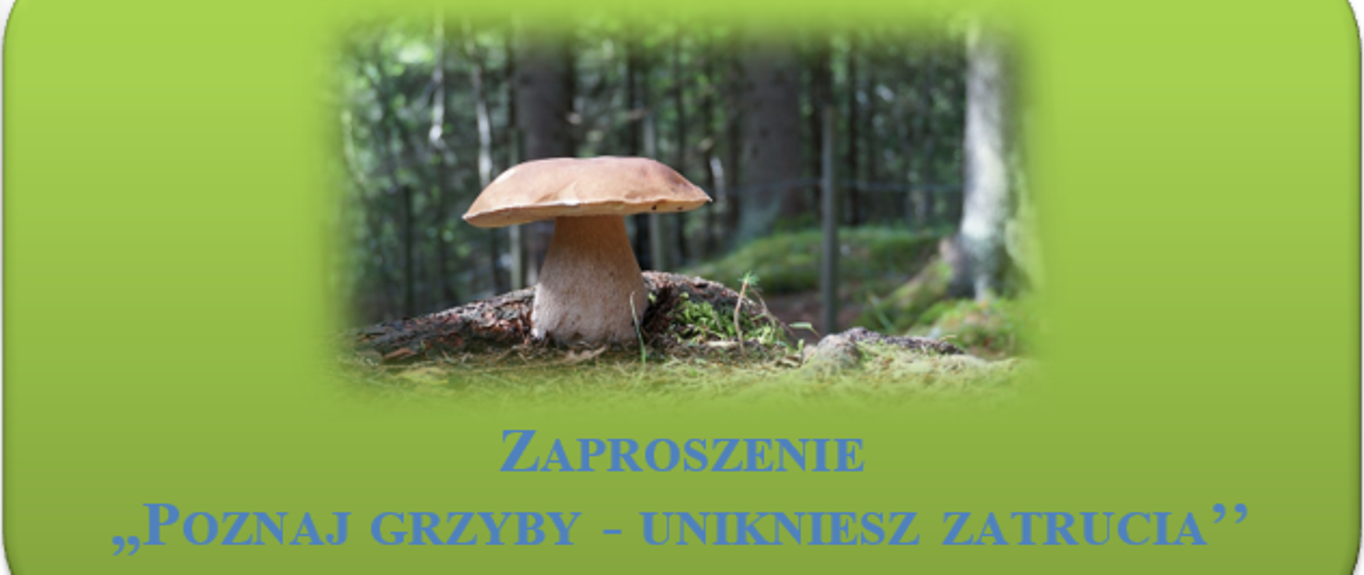 grafika_panorama_grzyb