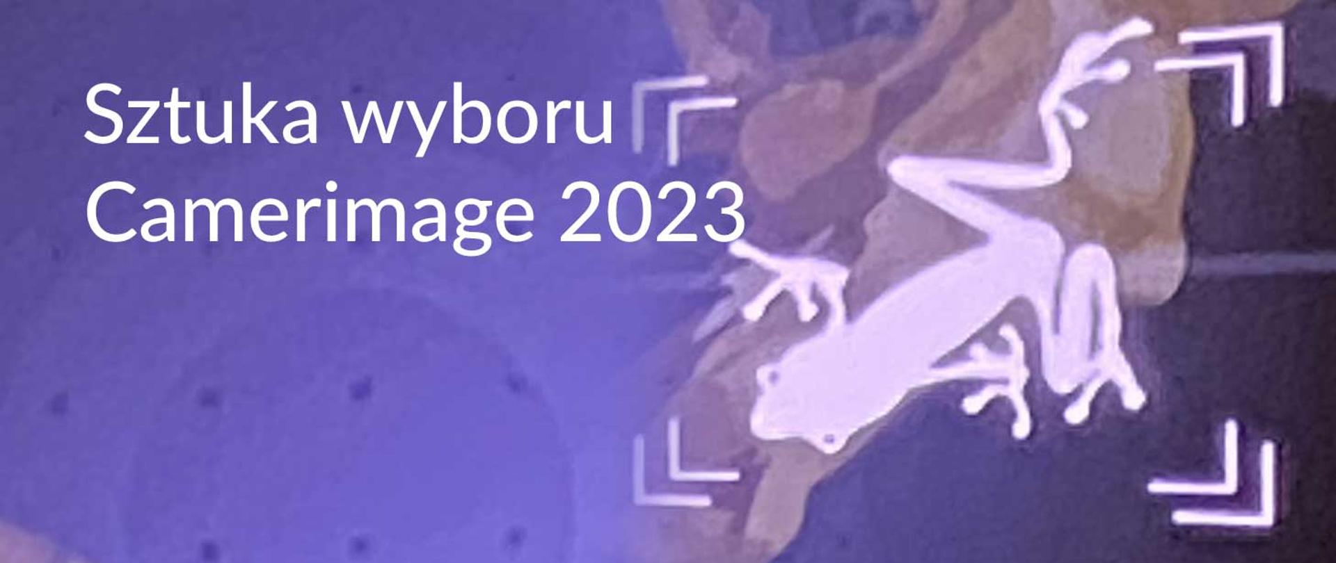 Napis Sztuka wyboru, Camerimage 2023 na tle żaby