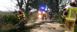 Drzewo powalone na jezdnię, strażacy w ubraniach bojowych usuwają drzewo. W tle widać pojazd pożarniczy z włączonymi sygnałami świetlnymi
