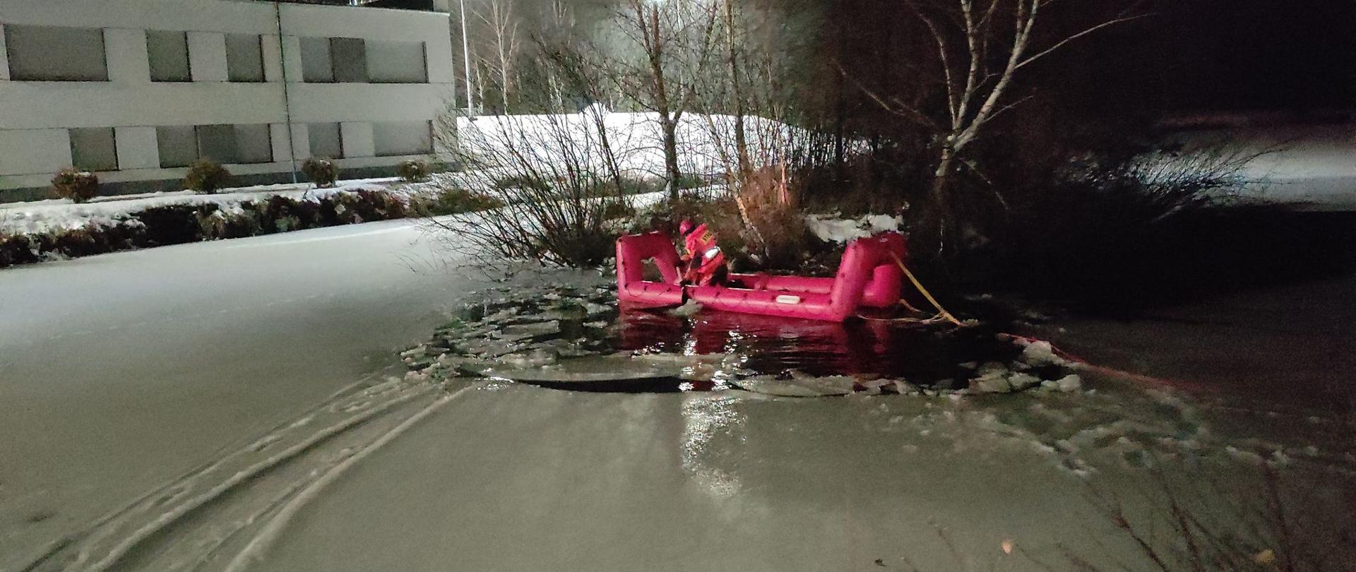 Na zdjęciu widać strażaka ratującego psa