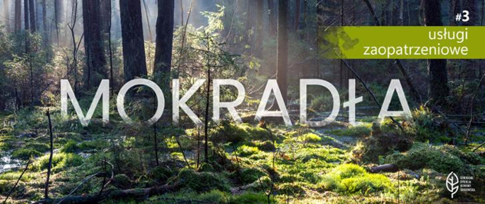 Zdjęcie przedstawia podmokły las. Przez korony wysokich drzew przebijają się promienie słoneczne. Runo leśne jest gęsto porośnięte zielonym mchem. Widać młode drzewka, paprocie oraz powalone gałęzie i konary. Na zdjęciu nałożone są napisy: na samym środku wielki, biały półprzezroczysty napis "MOKRADŁA" . W prawym górnym rogu jasnozielony pasek z białym napisem "#3 usługi zaopatrzeniowe". W prawym dolnym rogu znajduje się biały logotyp Generalnej Dyrekcji Ochrony Środowiska (biały liść).