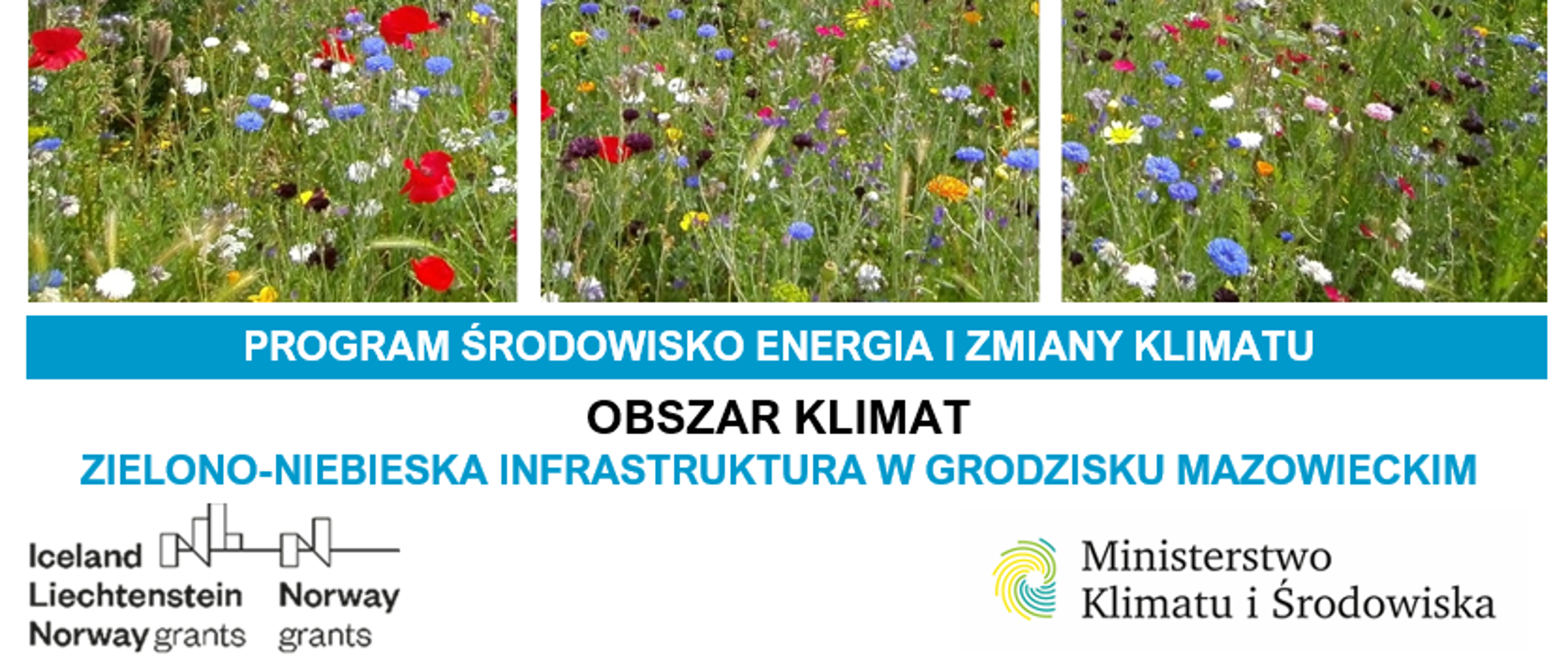 Grodzisk projekt Inwestycje w zakresie zielono-niebieskiej infrastruktury MF EOG