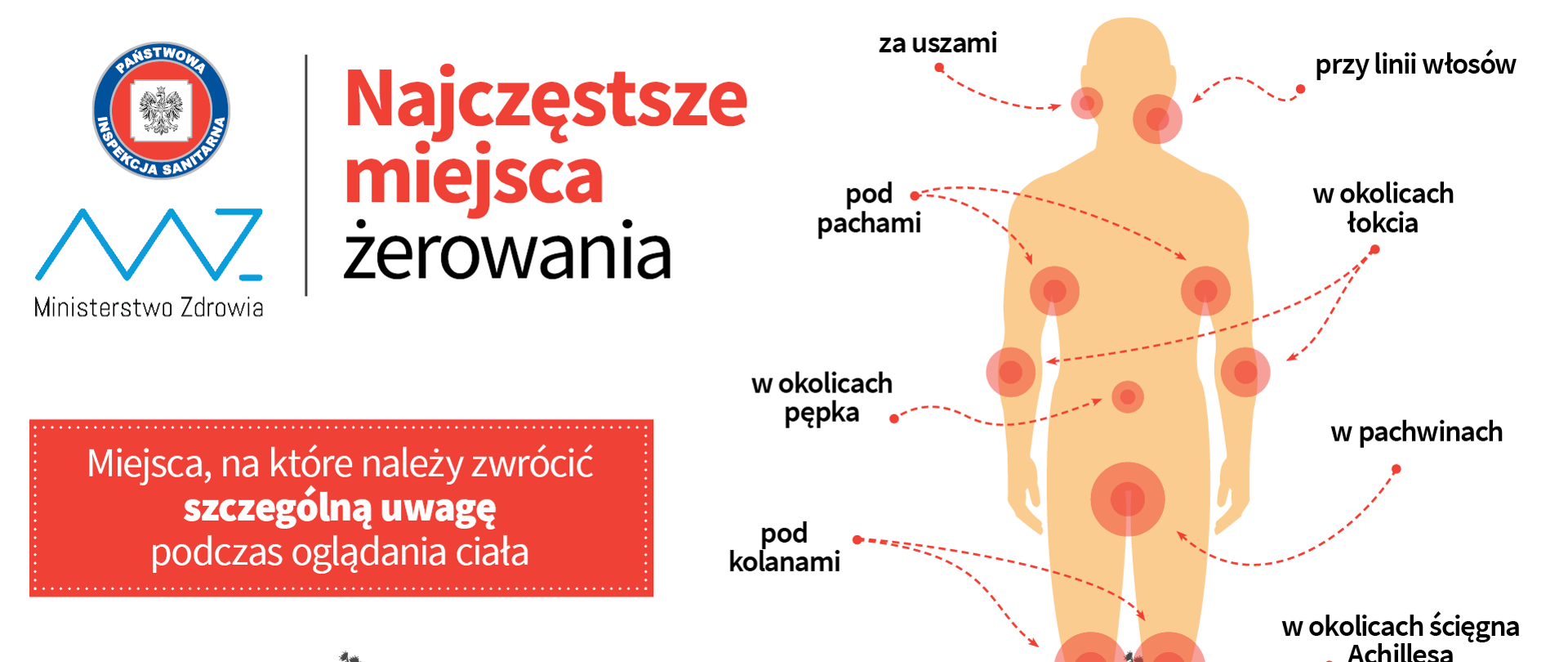 Miejsca_żerowania_TT