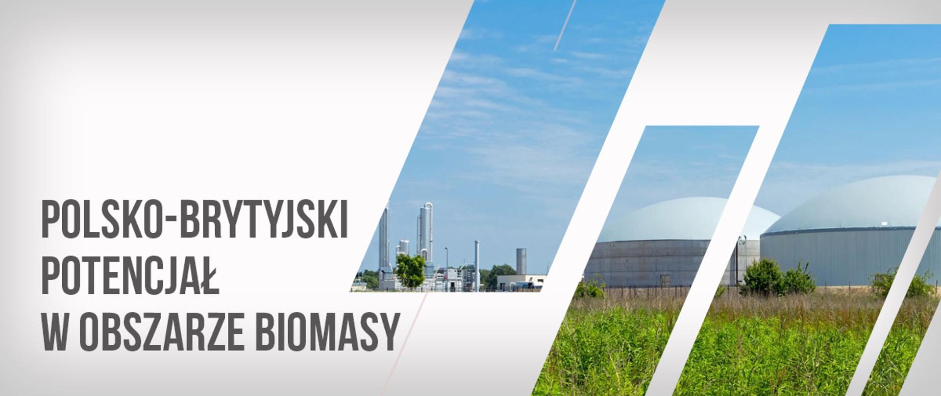 O polsko-brytyjskim potencjale w obszarze biomasy