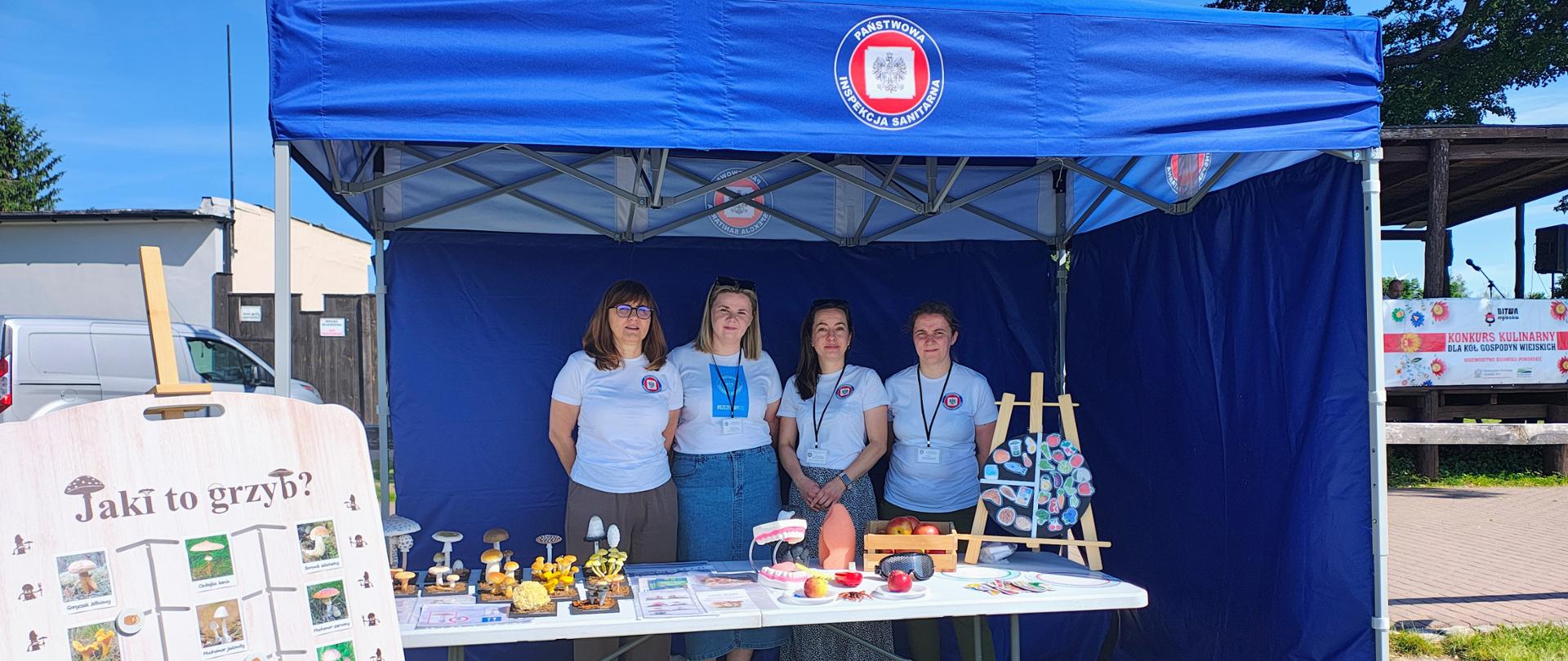 Stanowisko namiotowe Powiatowej Stacji Sanitarno-Epidemiologicznej w Golubiu-Dobrzyniu, na którym pracownicy prowadzili działania profilaktyczne podczas wydarzenia pt. "Bitwa Regionów" zorganizowanego na terenie Zamku Golubskiego.