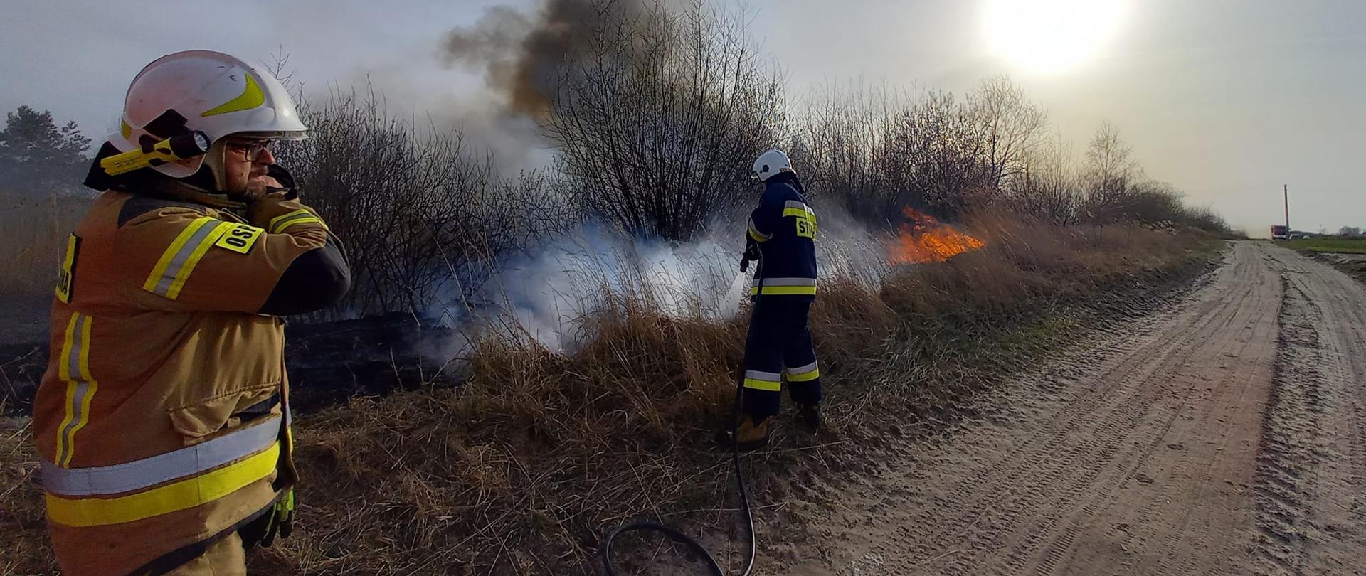 Strażacy gaszą pożar trawy
