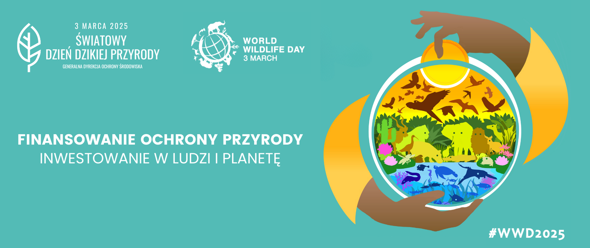 Grafika. Na zielono-niebieskim tle w lewej górnej części grafiki napis: "3 marca 2025 Światowy dzień dzikiej przyrody Generalna Dyrekcja Ochrony Środowiska" obok "World WildLife day 3 march". Poniżej napis dużą czcionką: " Finansowanie Ochrony Przyrody Inwestowanie w ludzi i planetę". Po prawej stronie grafika przedstawia ręce trzymające kulę ziemską. W środku kuli ziemskiej widać rośliny i zwierzęta. Jedna z dłoni jakby trzymała w dłoni monetę, którą chce wrzucić do skarbonki. Ta moneta wygląda jak słońce. W prawym dolnym rogu napis: "#WWD2025"