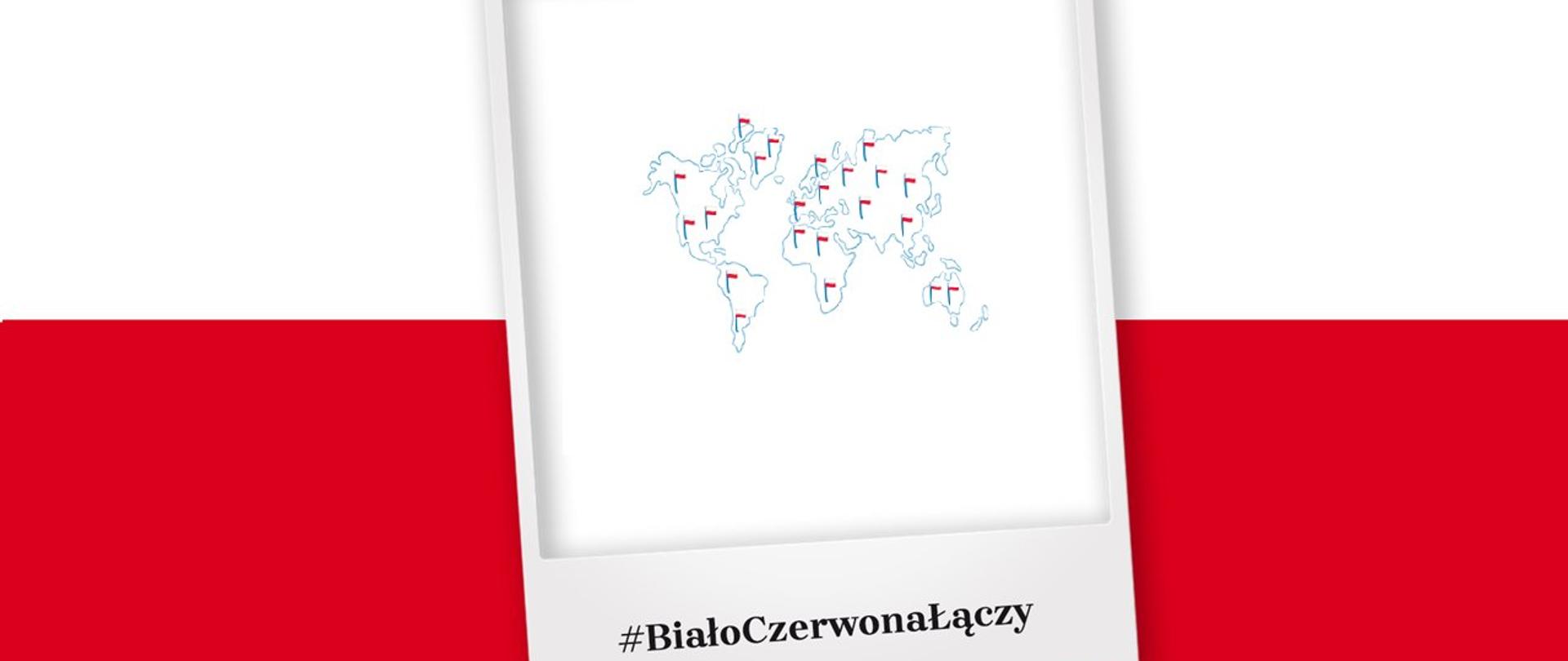 Białoczerwona łaczy
