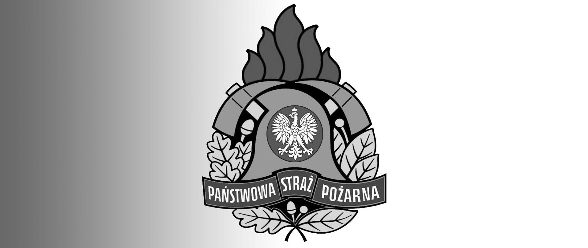 Logo PSP czarno -białe