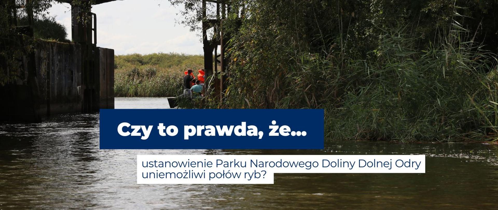 Grafika zawierająca zdjęcie odry oraz łódź, na grafice pytanie, czy powstanie Parku Narodowego Doliny Dolnej Odry uniemożliwi połów ryb 