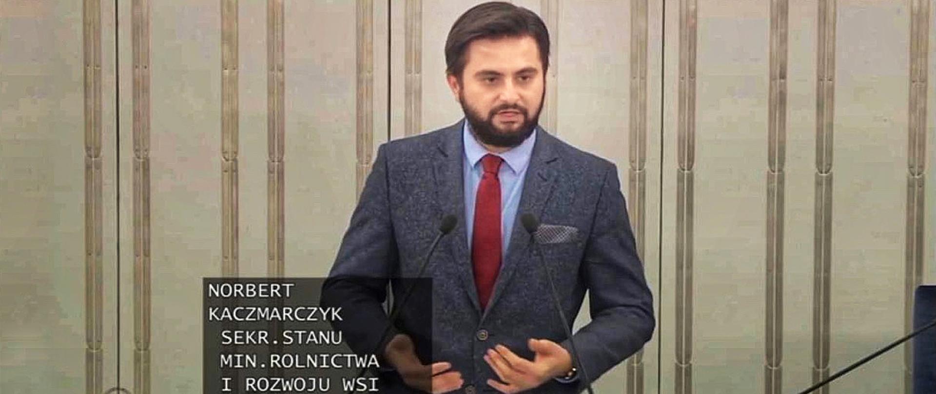 Sekretarz stanu Norbert Kaczmarczyk podczas wystąpienia w Senacie RP
