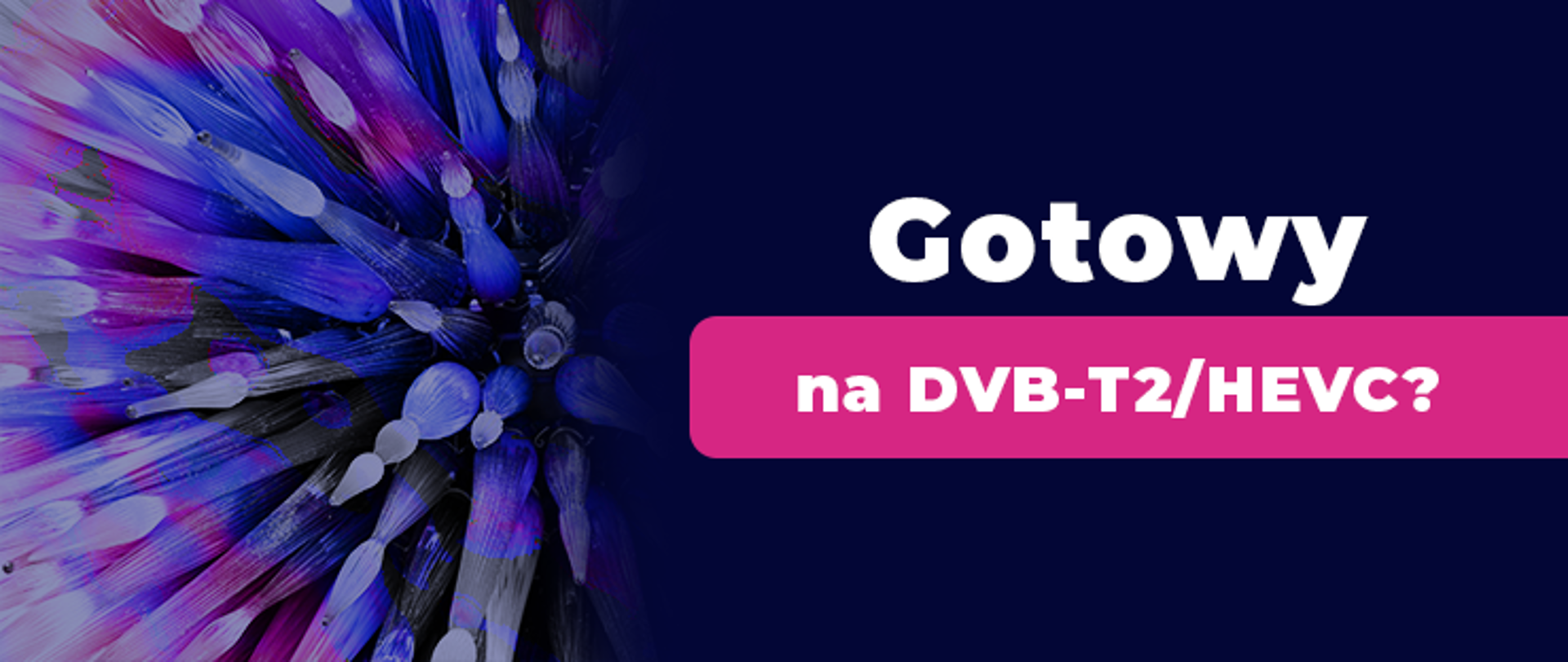 Element graficzny z napisem: Gotowy na DVB-T2/HEVC?