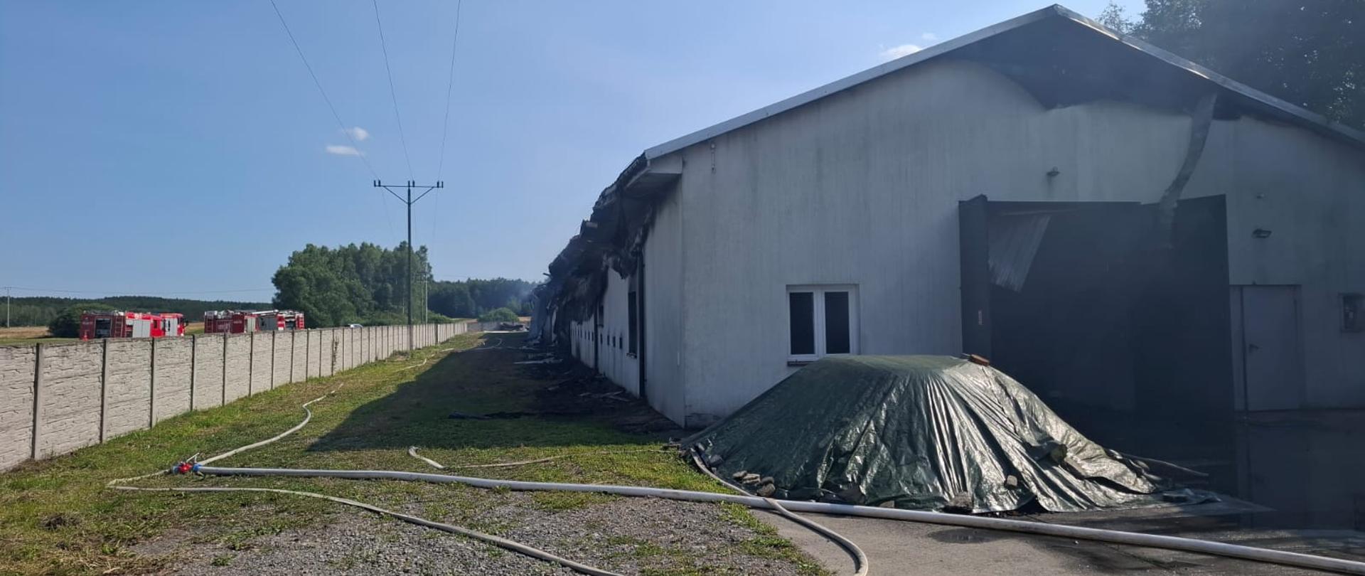 Pożar kurnika w Rusinowie