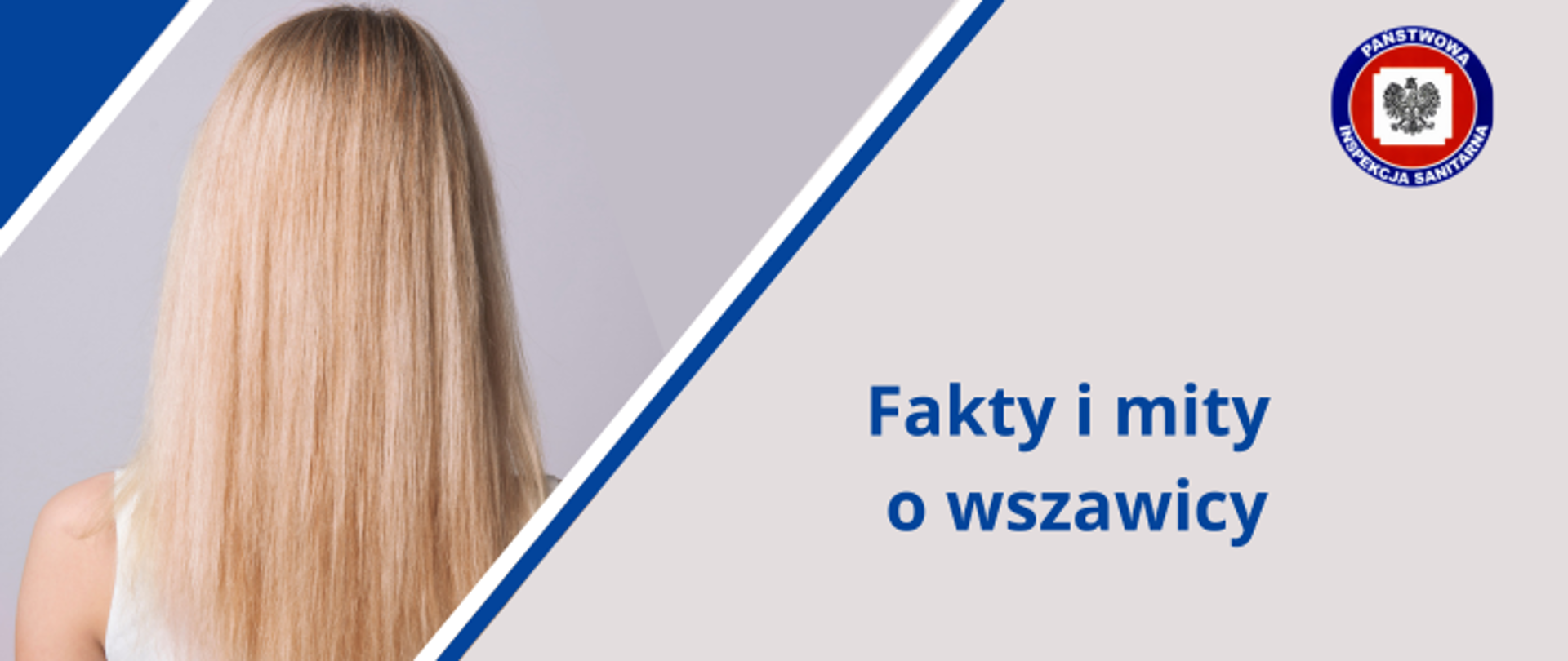 Po prawej na jasnoszarym tle niebieski napis Fakty i mity o wszawicy, w prawym górnym rogu logo Państwowej Inspekcji Sanitarnej. Po lewej blondynka z długimi włosami stojąca tyłem.