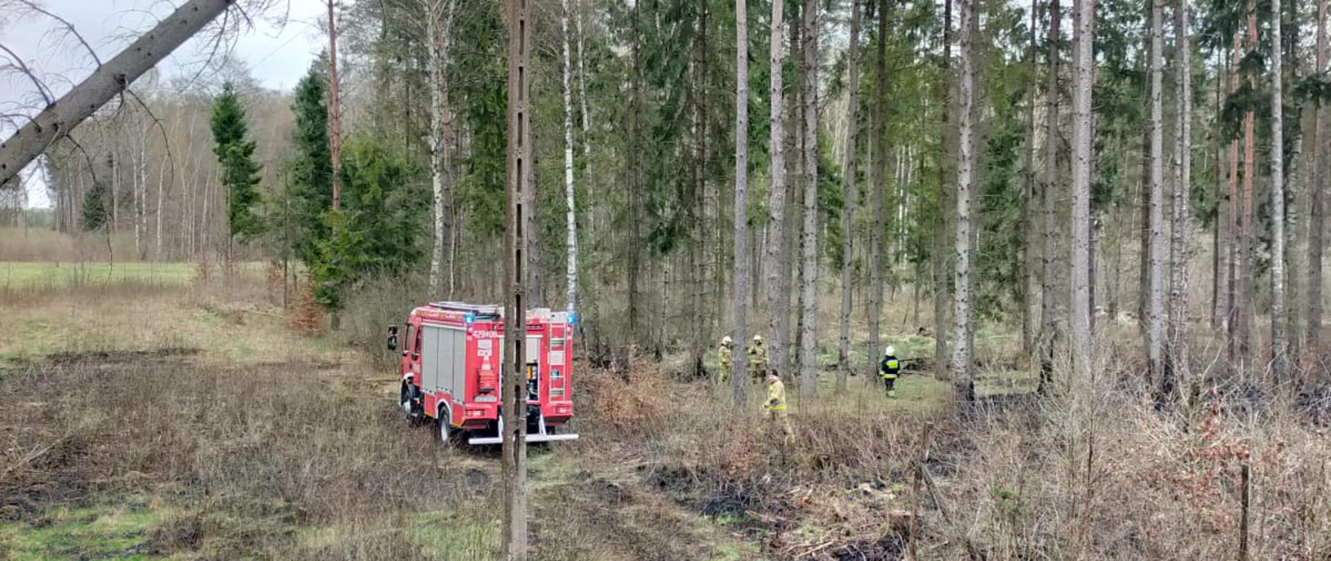 Przerwana linia średniego napięcia przez wiatrołom