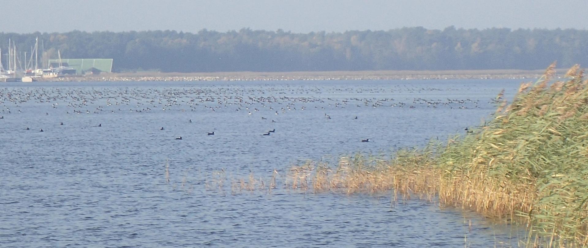 Rozbiórka pomostu w Ptasim Raju przy wieży nr 2