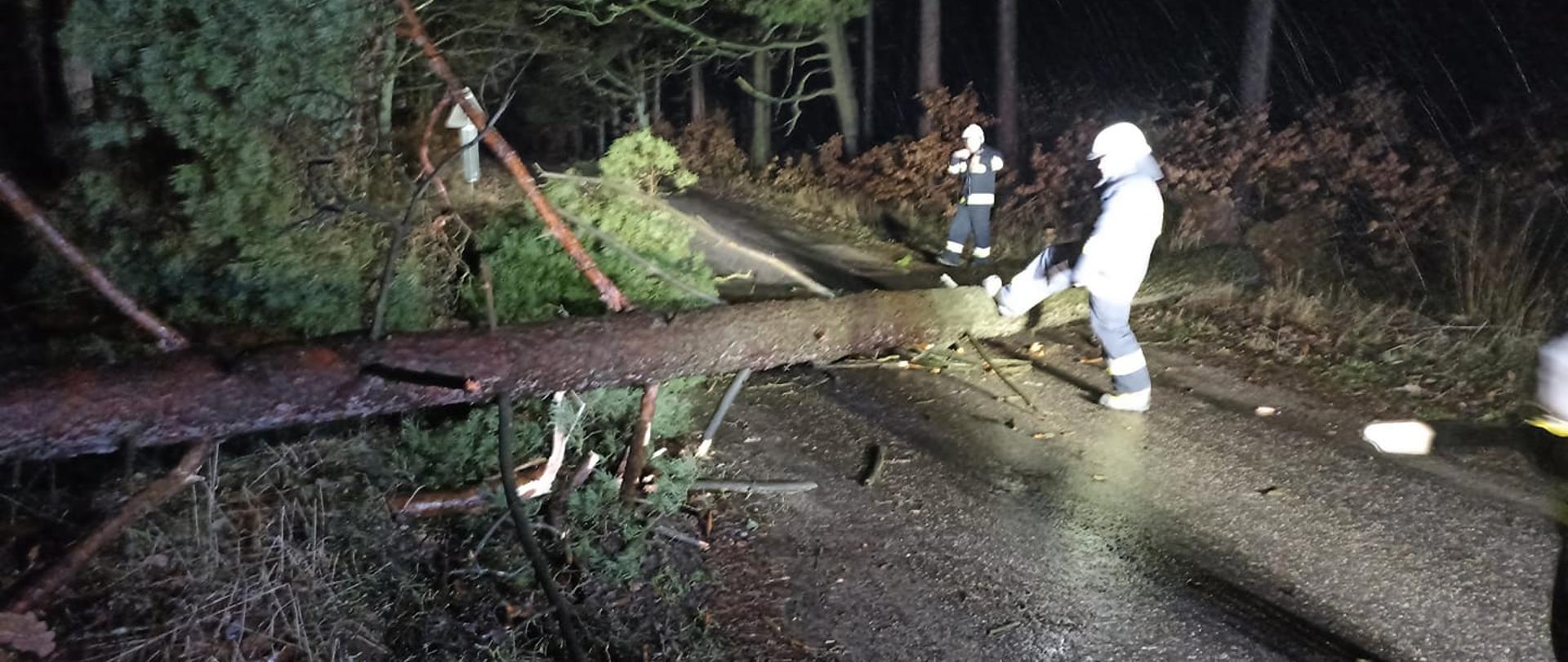 Zdjęcie przedstawia strażaków usuwających przewrócone drzewo w wyniku silnych wiatrów.
W tle inne drzewa.
