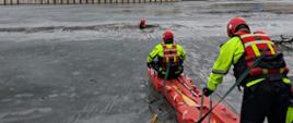 Strażacy w specjalnych kombinezonach w trakcie ćwiczeń na zamarzniętym akwenie z użyciem sań lodowych.