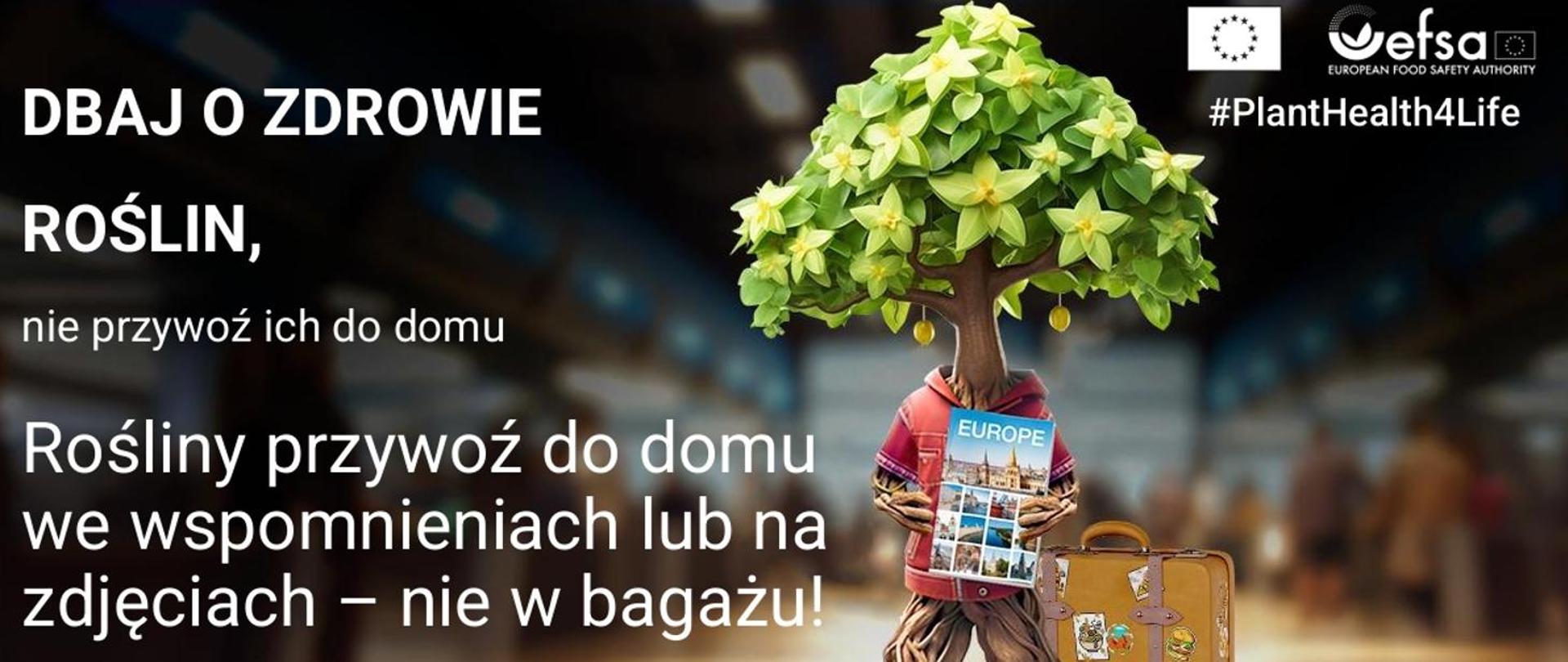 Na zdjęciu: drzewo, plan europy walizka