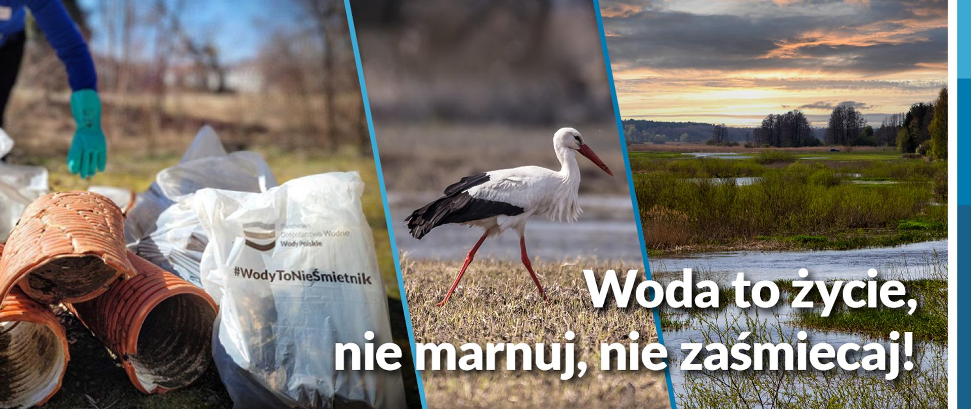 Tydzień Czystości Wód 2025 