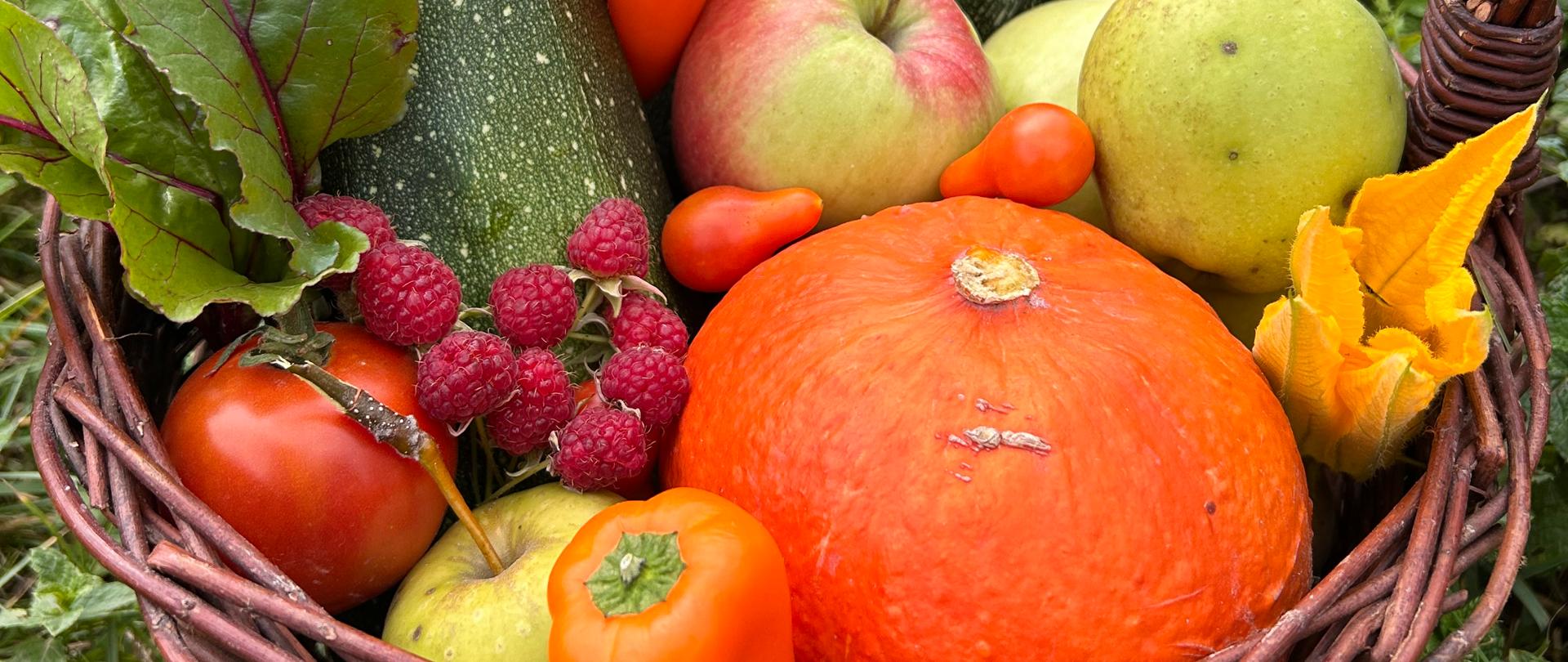 Zdjęcie przedstawiające kosz wypełniony warzywami i owocami