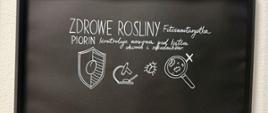 7 Zdrowe rośliny