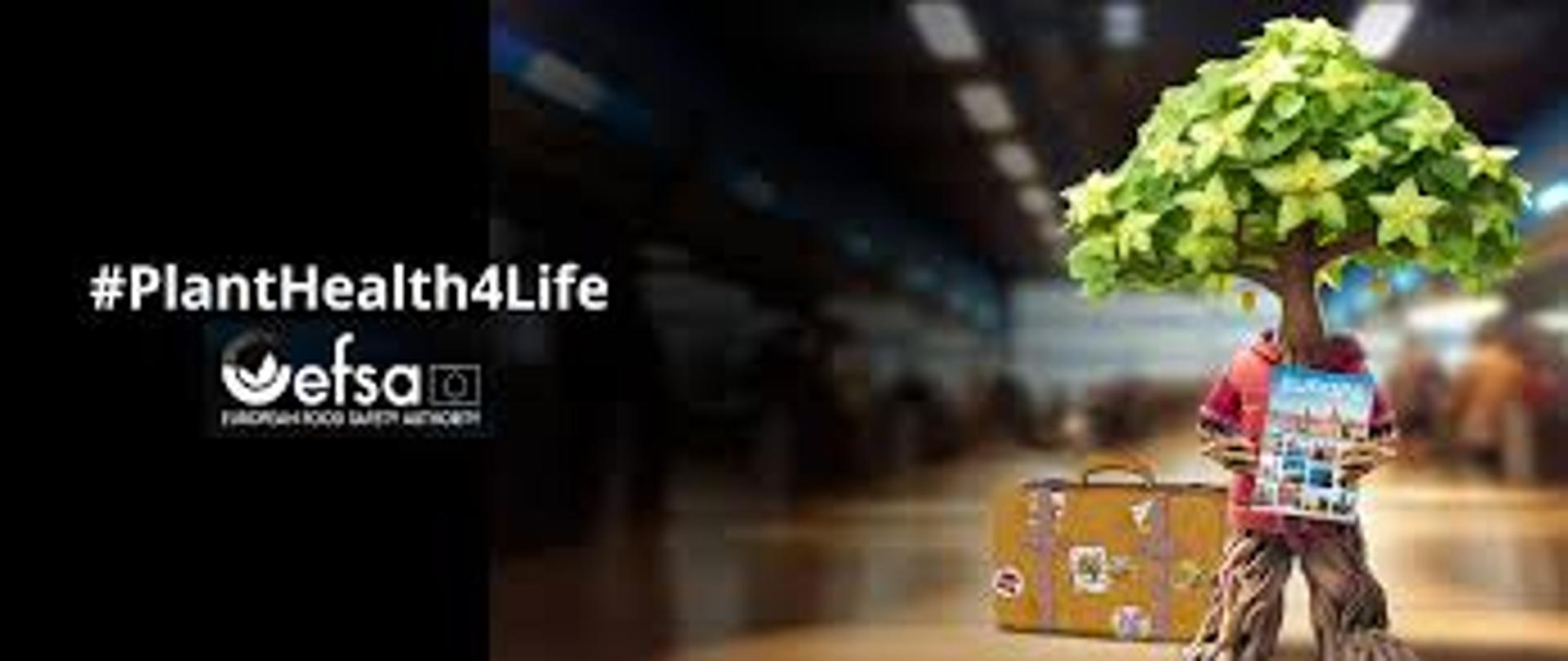Grafika Kampanii EFSA #PlantHealth4Life Humanoidalne drzewko trzymające przewodnik po europie