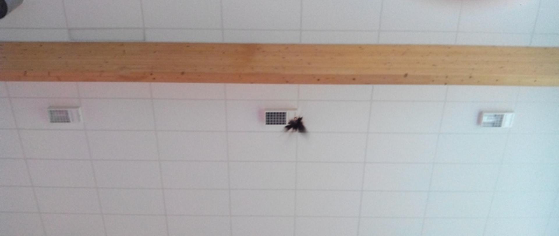 Zdjęcie przedstawia palącą się lampę