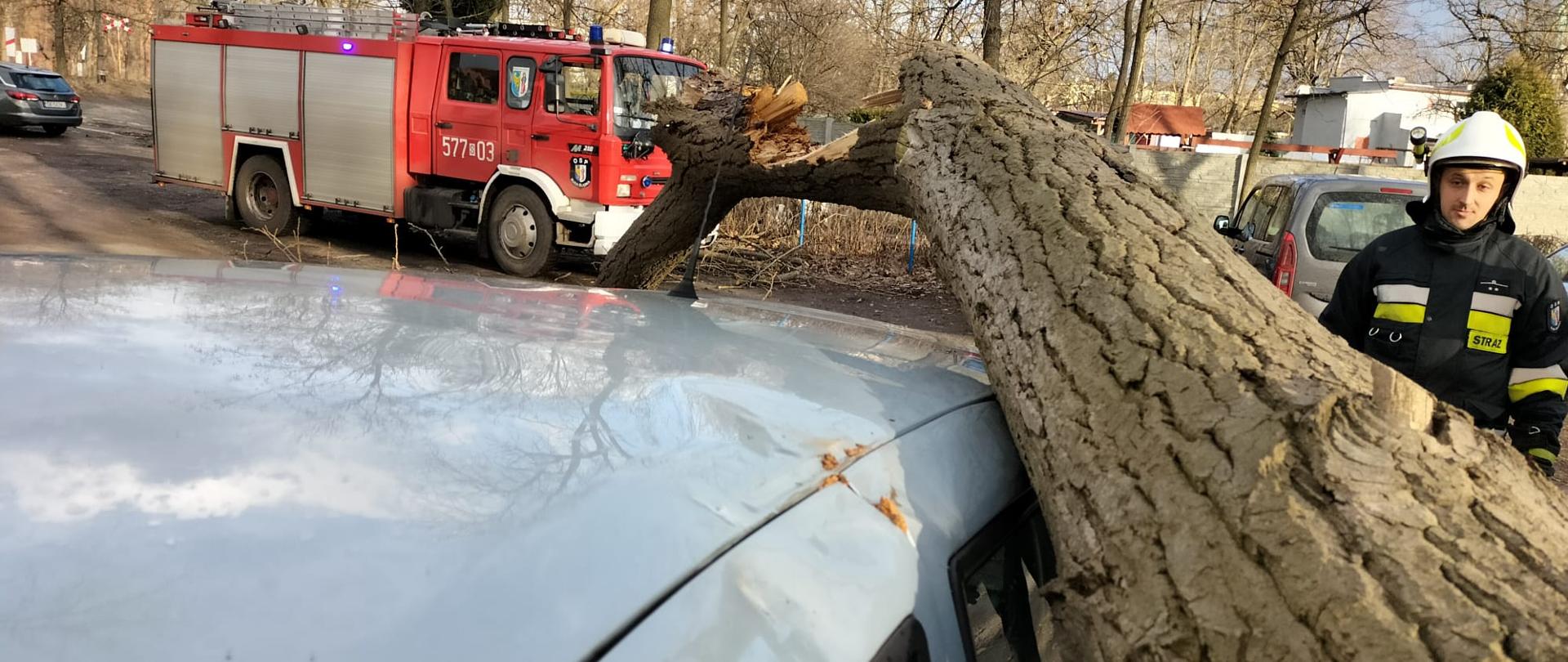 Zdjęcie przedstawia samochód osobowy, na który przewróciło się drzewo. W tle osoby postronne, strażak oraz samochód strażacki.