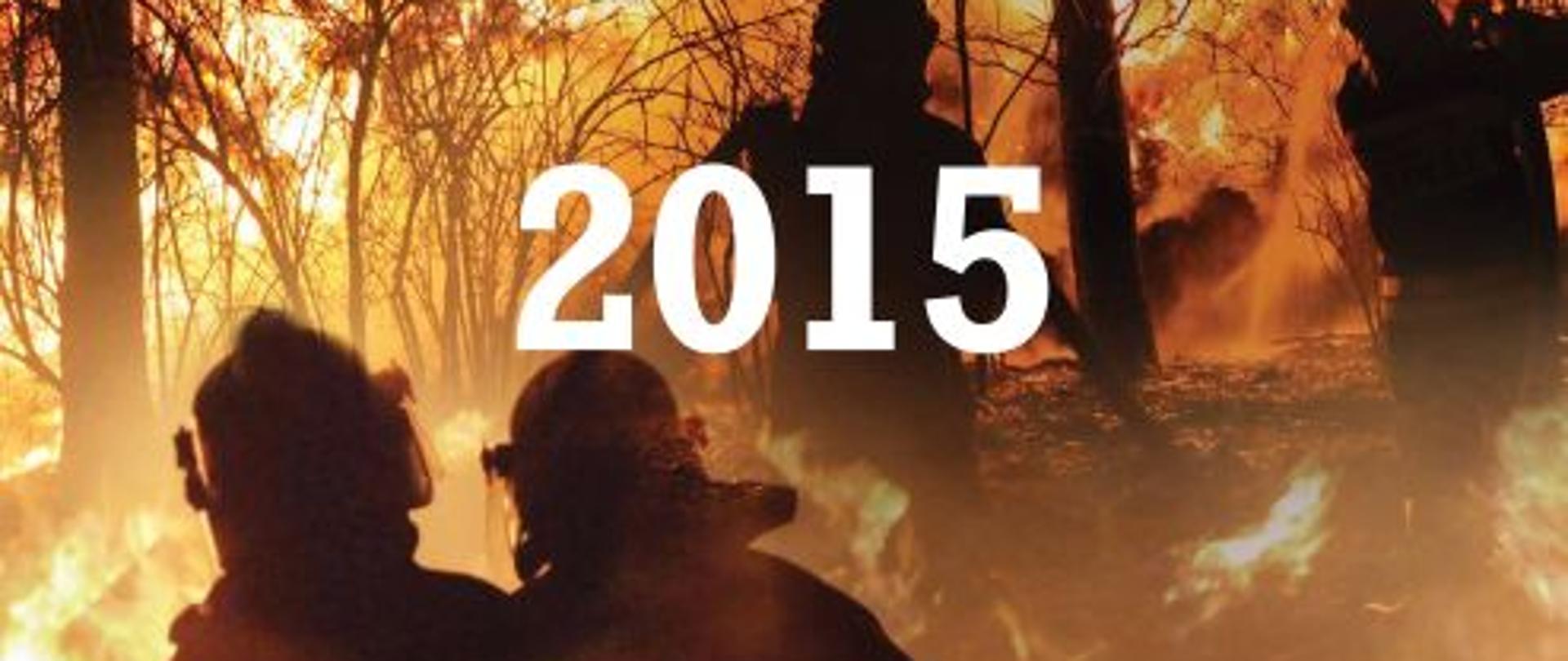 pożar lasu oraz strażacy gaszący pożar