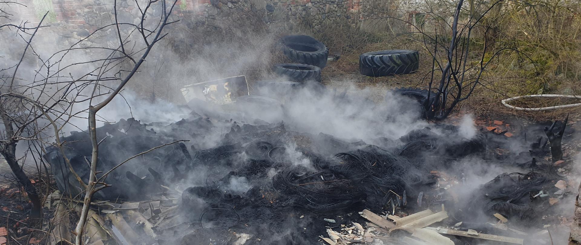 W centrum fotografii znajduje się ugaszony pożar dzikiego wysypiska opon samochodowych jak i śmieci budowlanych – połamany eternit z nad którego unosi się dym. Miejsce to zlokalizowane jest w opuszczonych zabudowaniach, które porośnięte są krzakami. 