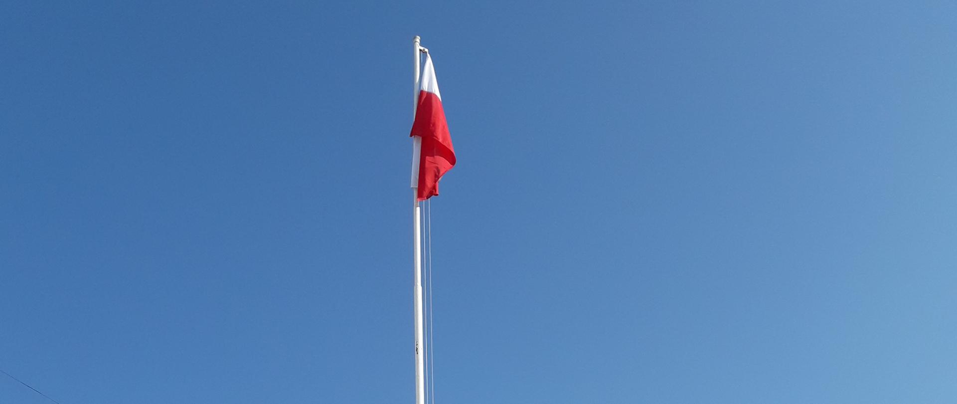 Zdjęcie przedstawia poczet flagowy oddający honory. W tle widać samochody oraz drzewa