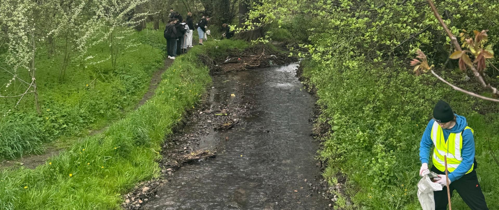 Sprzątanie Cisowskiej Strugi w Gdyni