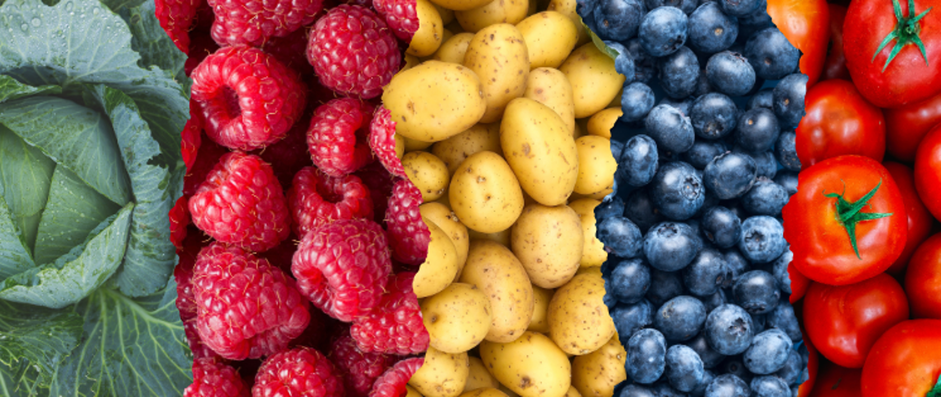 Świeże warzywa i owoce (od lewej: kapusta, maliny, młode ziemniaki, borówki, pomidory)