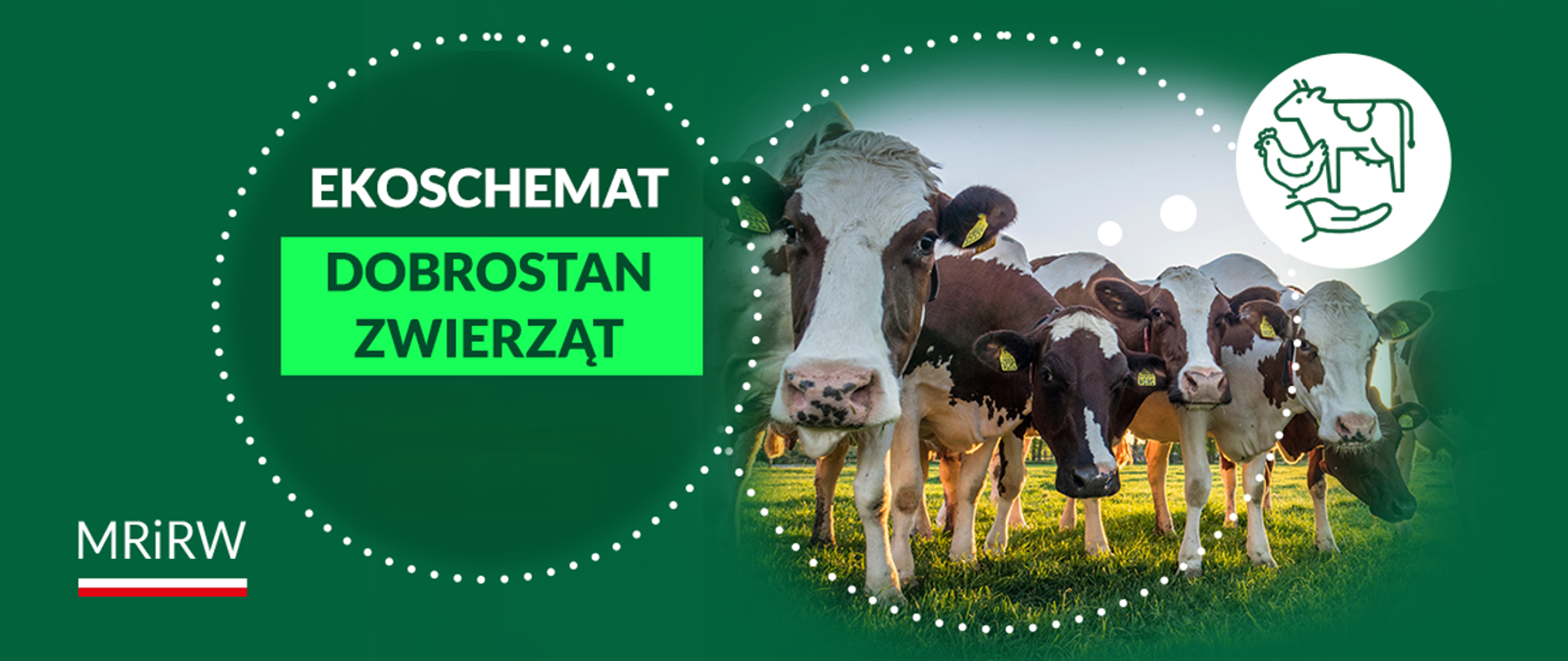 Metody ograniczające stosowanie antybiotyków w produkcji zwierzęcej - szkolenie dla beneficjentów ekoschematu Dobrostan zwierząt