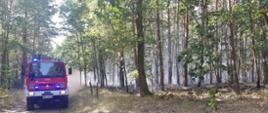 Pożar lasu Bartodzieje 