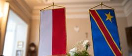 Ambasador Demokratycznej Republiki Kongo odwiedziła Łódzki Urząd Wojewódzki