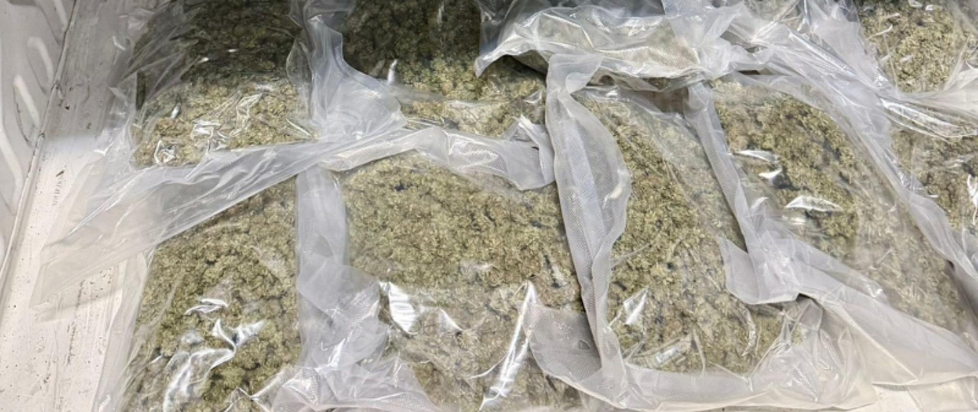 marihuana w paczkach