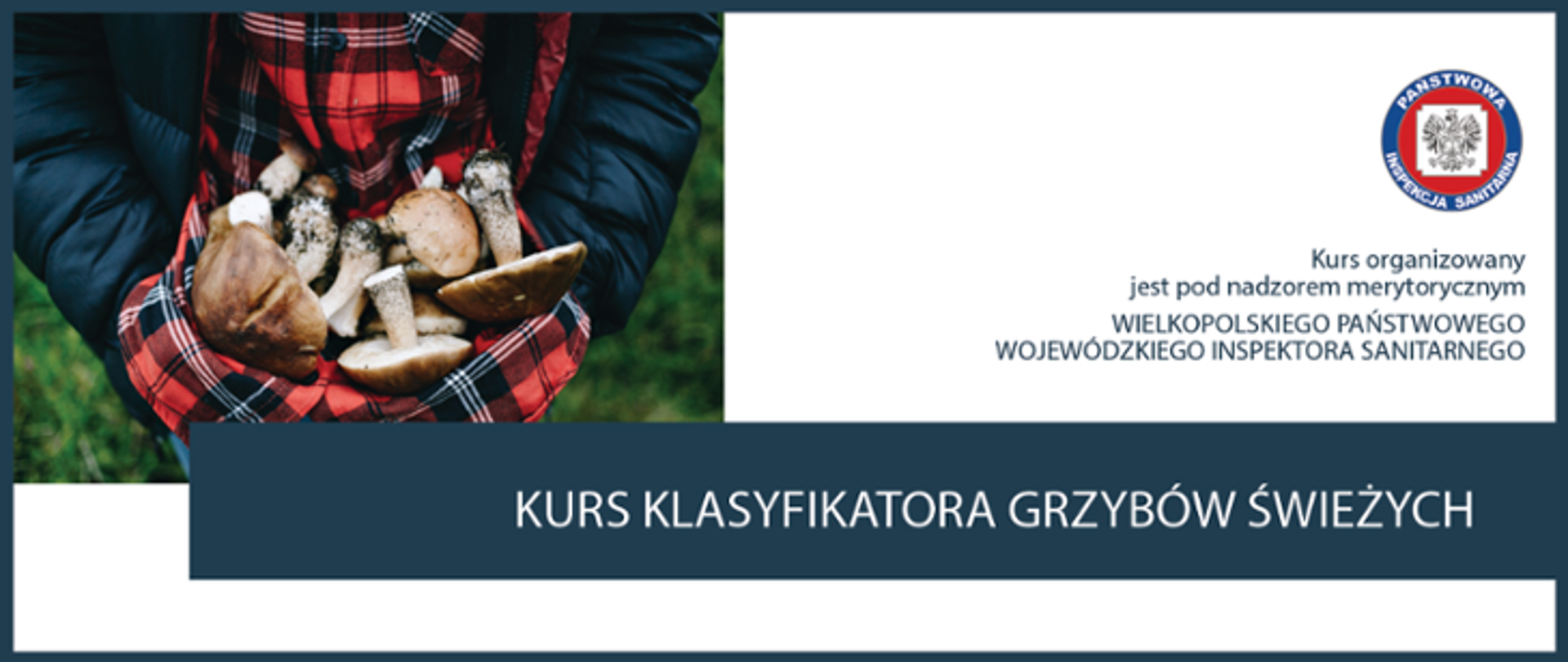 KURS KLASYFIKATORA GRZYBÓW ŚWIEŻYCH