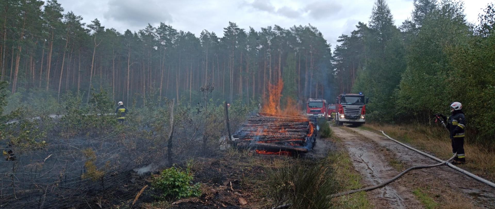 Na zdjęciu widać druhów OSP podczas akcji gaśniczej, palącą się pryzmę drewna oraz wozy strażackie.